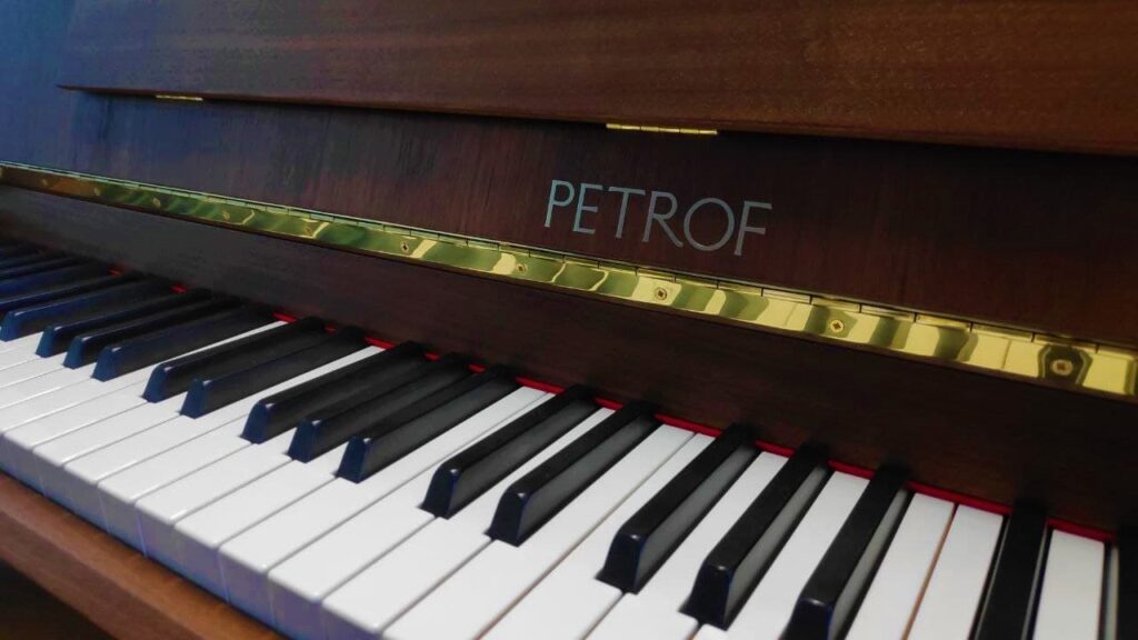 Il Petrof 122 N2 è uno dei modelli più richiesti della casa di produzione Ceca. In questo pianoforte la saggezza dei costruttori europei ...